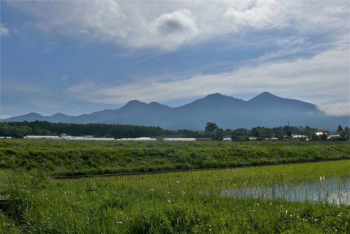 http://www.alpico.co.jp/shikinomori/news/images/P1320739.JPG