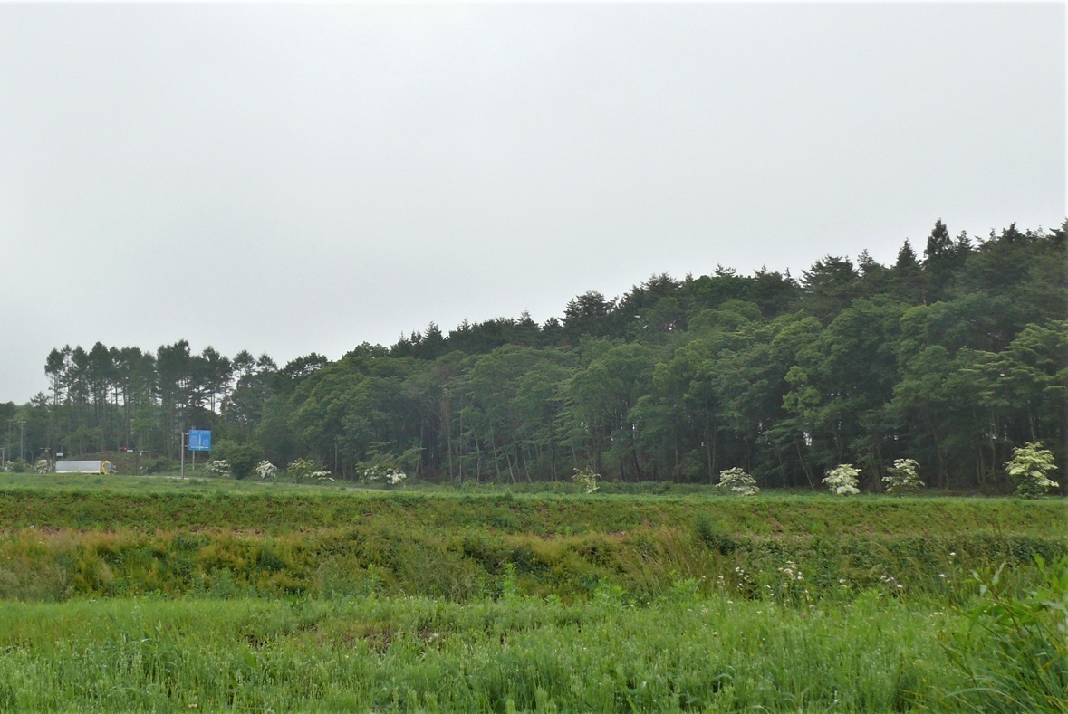 http://www.alpico.co.jp/shikinomori/news/images/P1330117.JPG