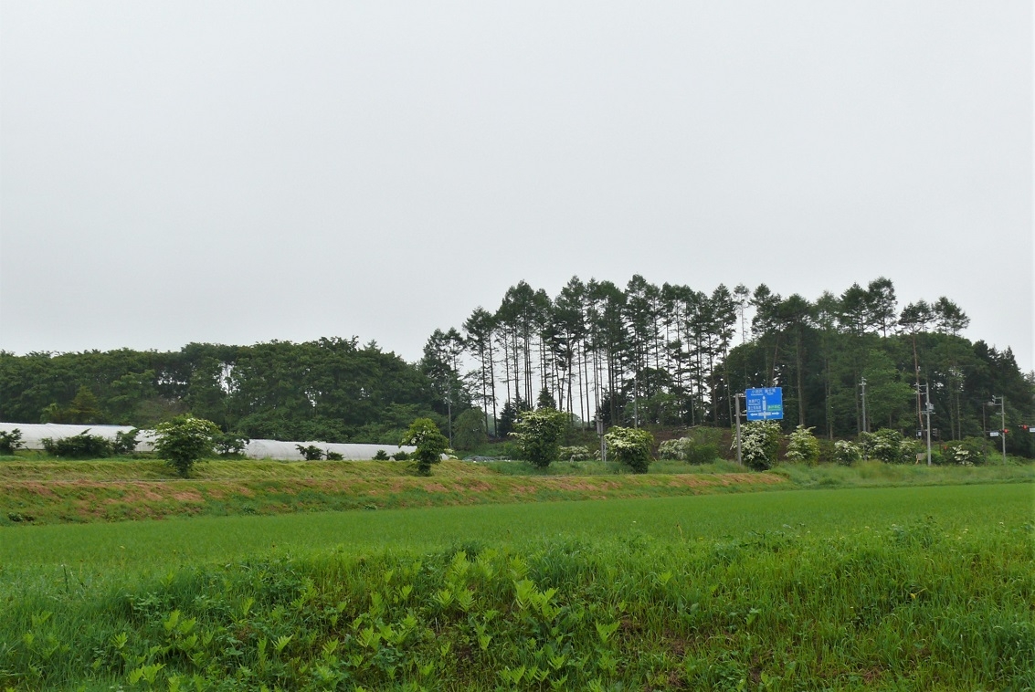http://www.alpico.co.jp/shikinomori/news/images/P1330120.JPG