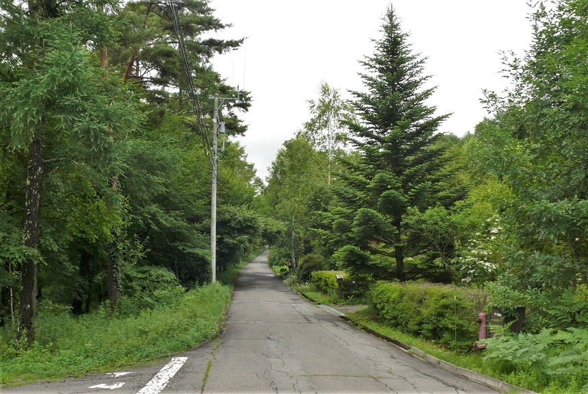 http://www.alpico.co.jp/shikinomori/news/images/P1330898.JPG
