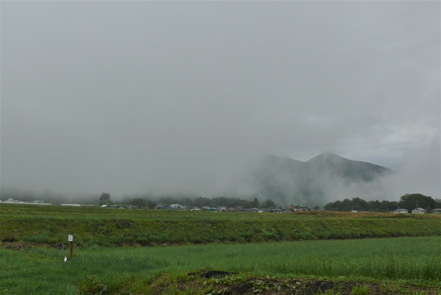 http://www.alpico.co.jp/shikinomori/news/images/P1330988.JPG