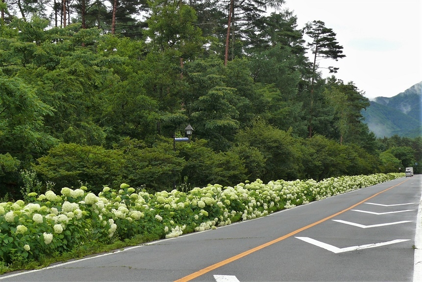 http://www.alpico.co.jp/shikinomori/news/images/P1330992.JPG