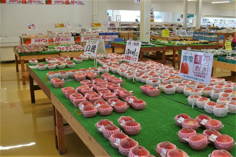 http://www.alpico.co.jp/shikinomori/news/images/P1340158.JPG