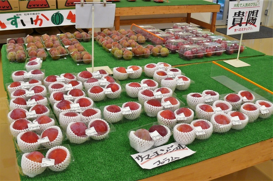 http://www.alpico.co.jp/shikinomori/news/images/P1340160.JPG