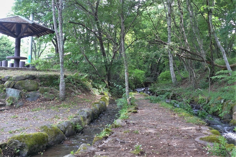 http://www.alpico.co.jp/shikinomori/news/images/P1340186.JPG