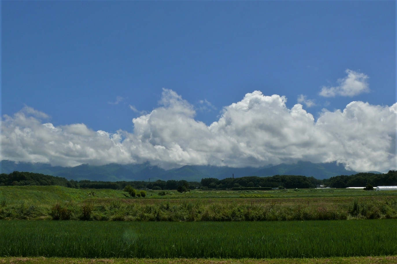 http://www.alpico.co.jp/shikinomori/news/images/P1340219.JPG