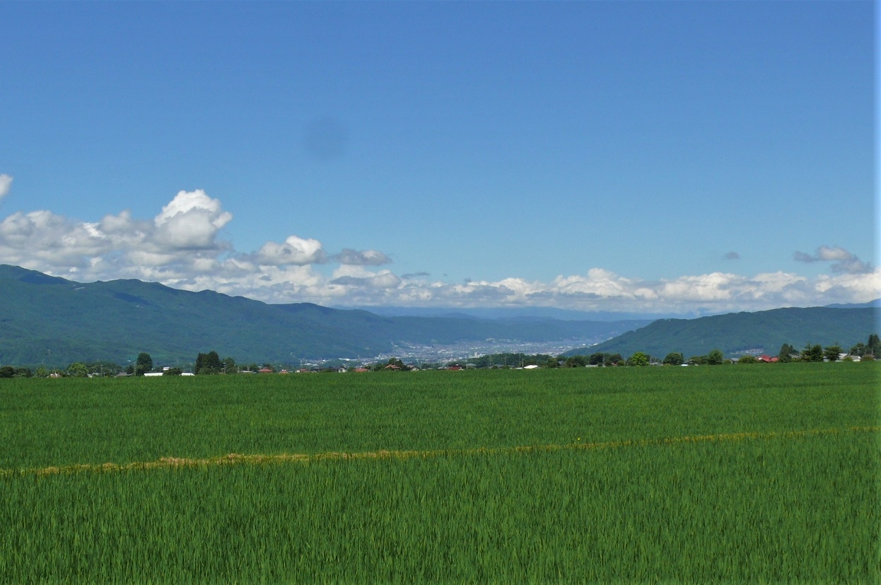 http://www.alpico.co.jp/shikinomori/news/images/P1340222.JPG