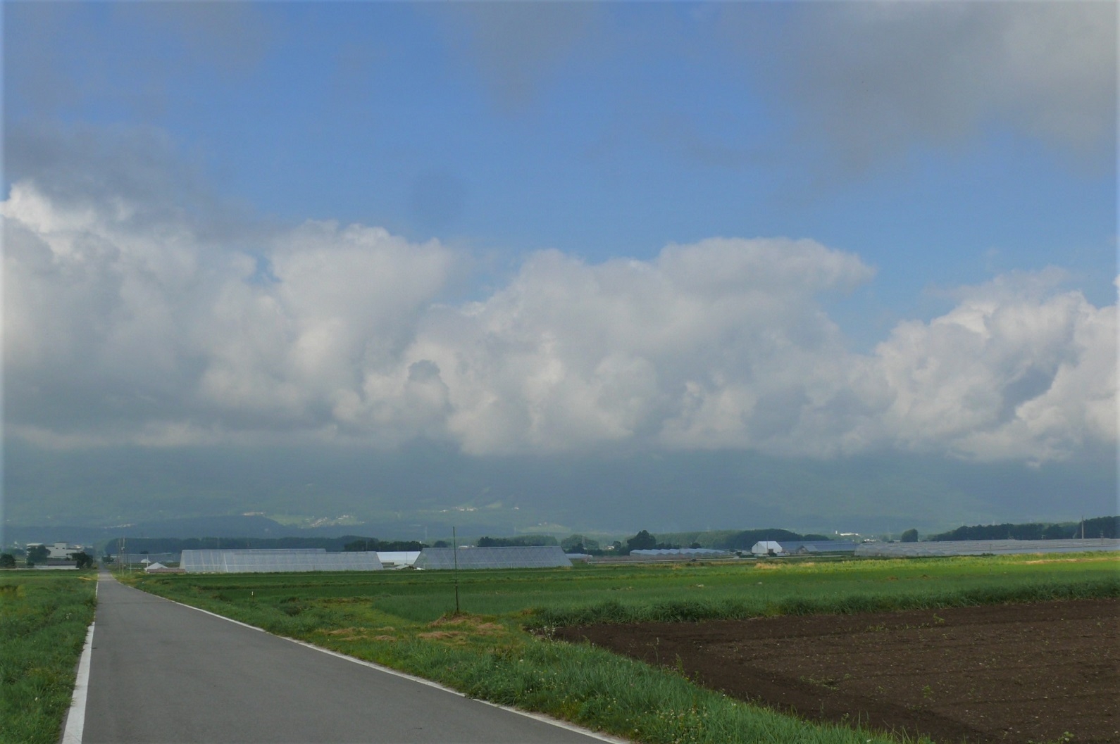 http://www.alpico.co.jp/shikinomori/news/images/P1340230.JPG