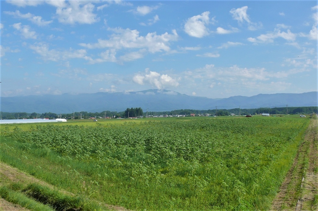 http://www.alpico.co.jp/shikinomori/news/images/P1340345.JPG