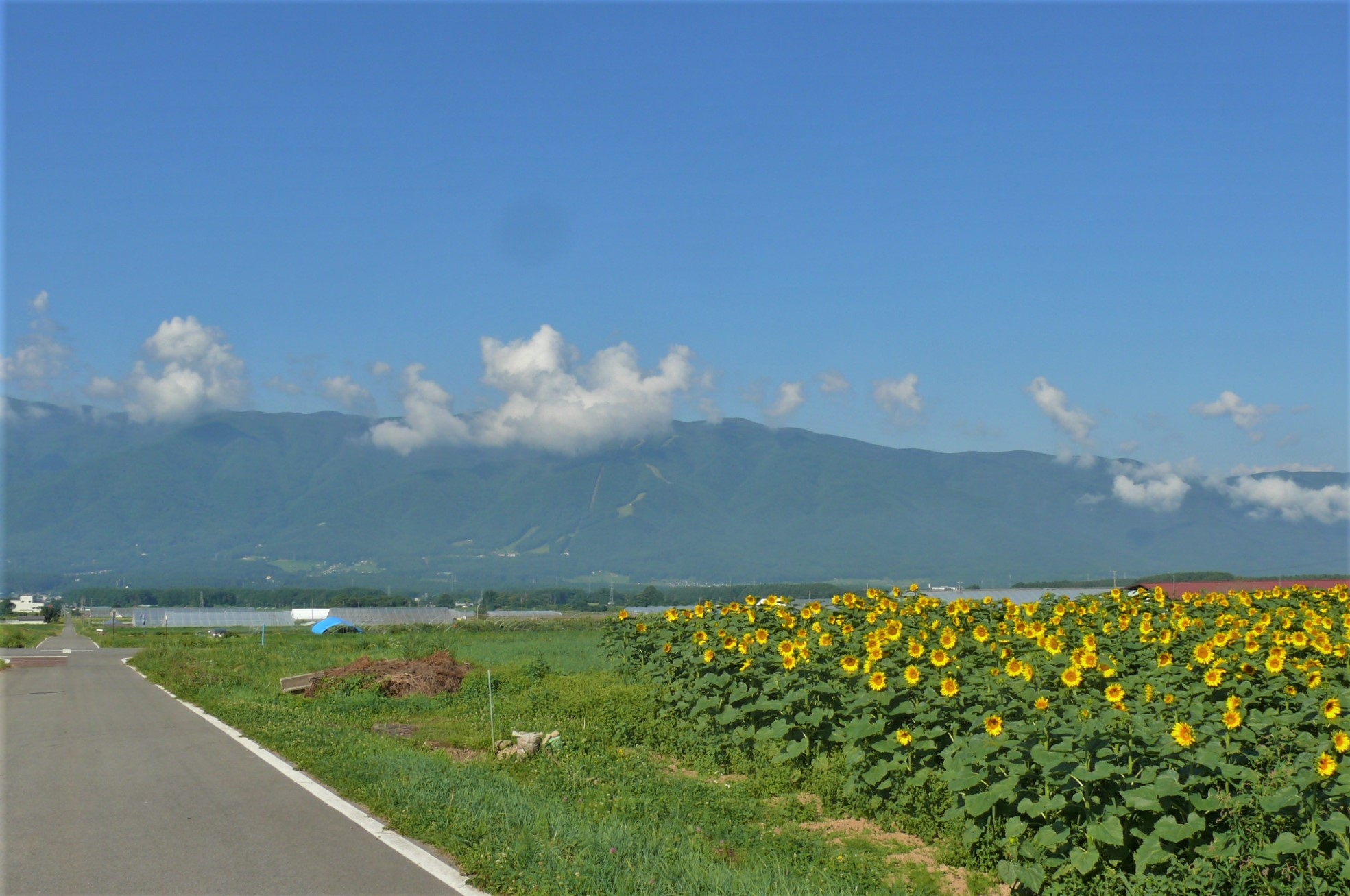 http://www.alpico.co.jp/shikinomori/news/images/P1340440.JPG