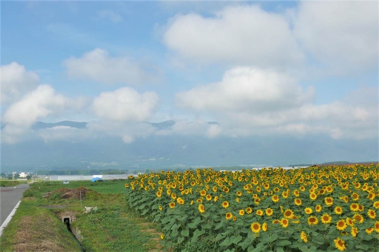 http://www.alpico.co.jp/shikinomori/news/images/P1340479.JPG