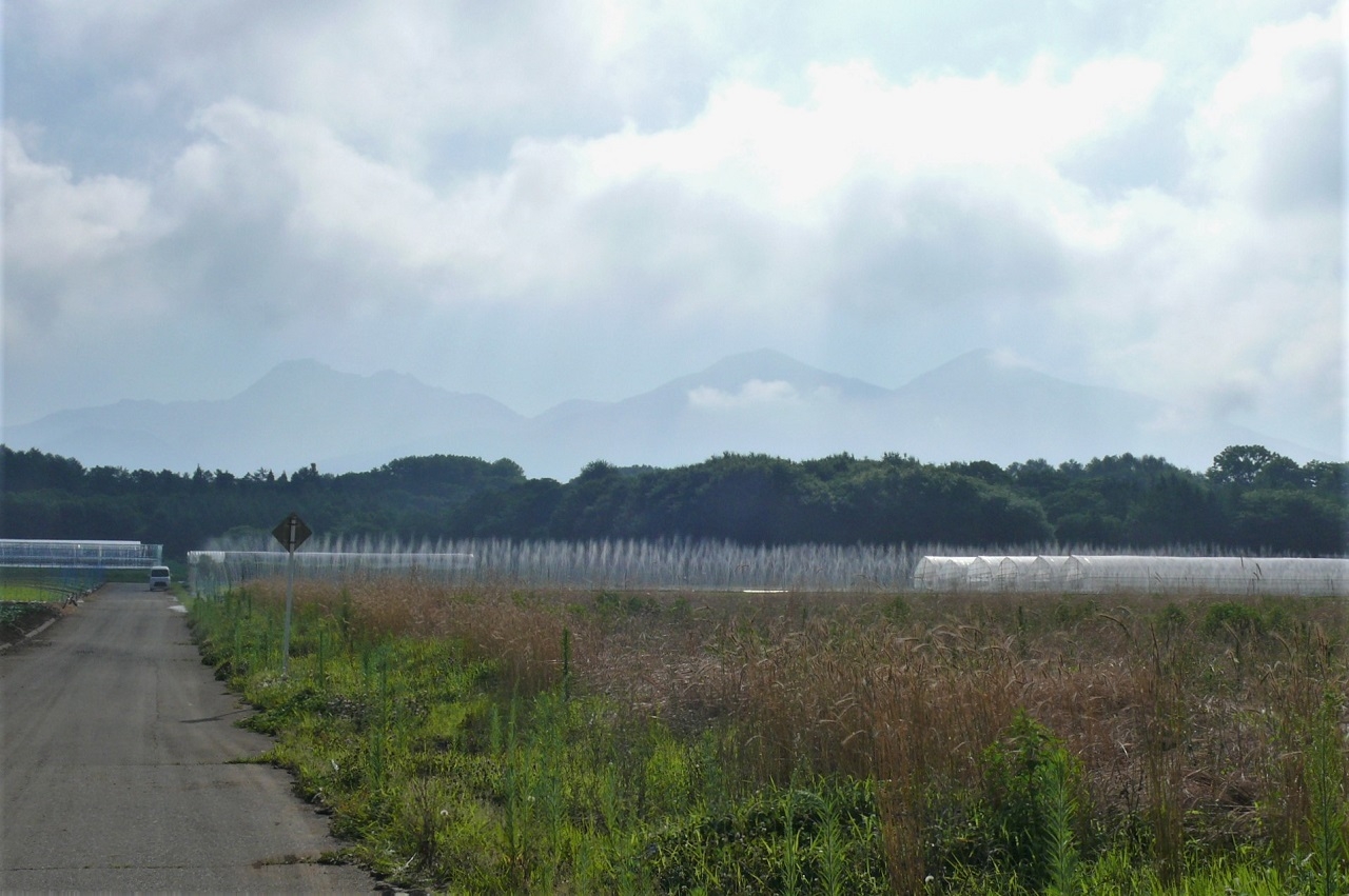http://www.alpico.co.jp/shikinomori/news/images/P1340482.JPG