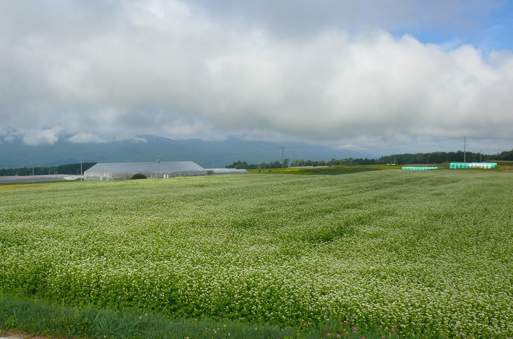 http://www.alpico.co.jp/shikinomori/news/images/P1350481.JPG