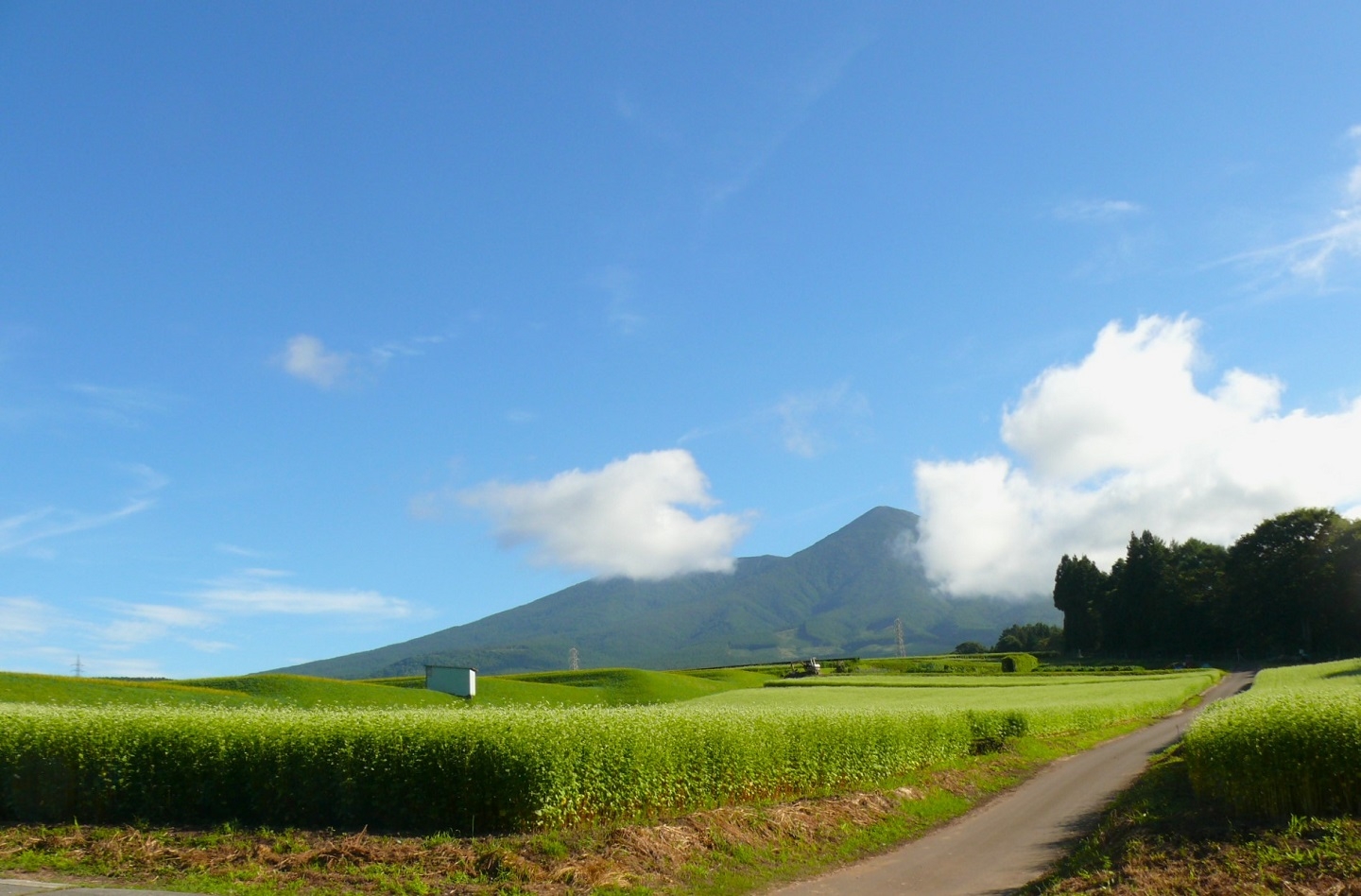 http://www.alpico.co.jp/shikinomori/news/images/P1350566.JPG