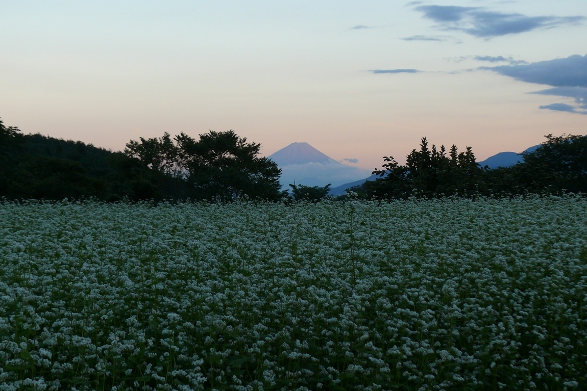 http://www.alpico.co.jp/shikinomori/news/images/P1350971.JPG