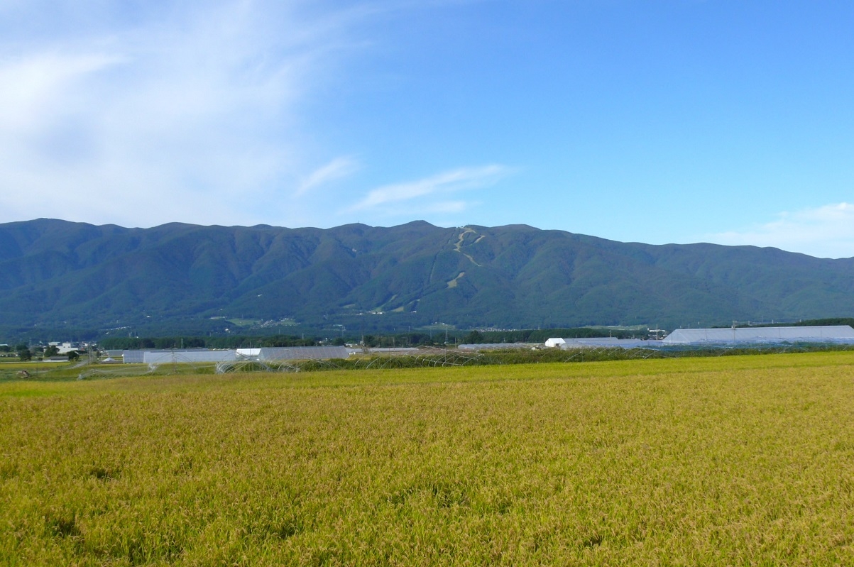 http://www.alpico.co.jp/shikinomori/news/images/P1360229.JPG