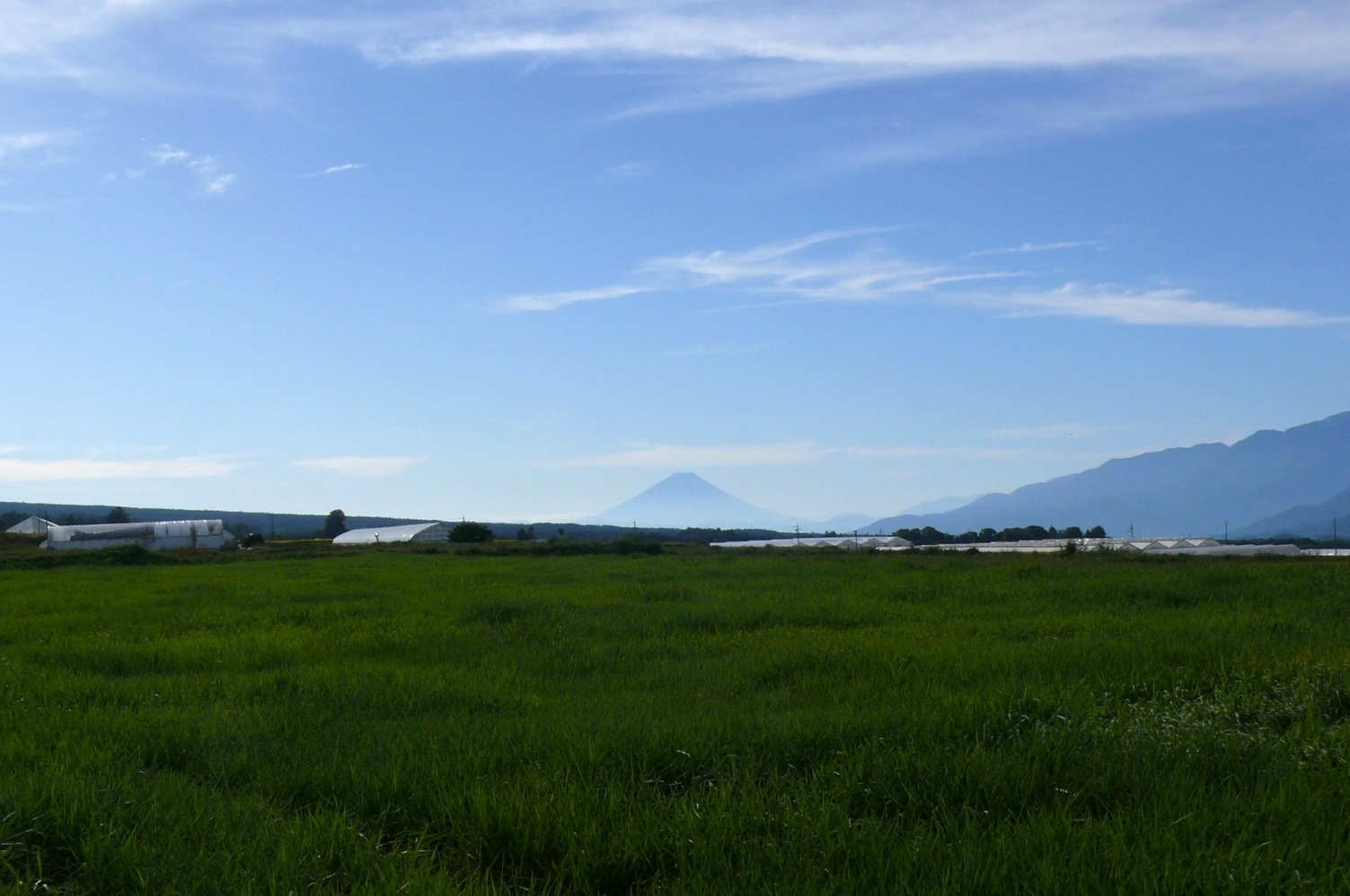 http://www.alpico.co.jp/shikinomori/news/images/P1360288.JPG