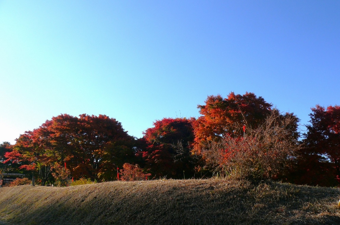 http://www.alpico.co.jp/shikinomori/news/images/P1370051.JPG