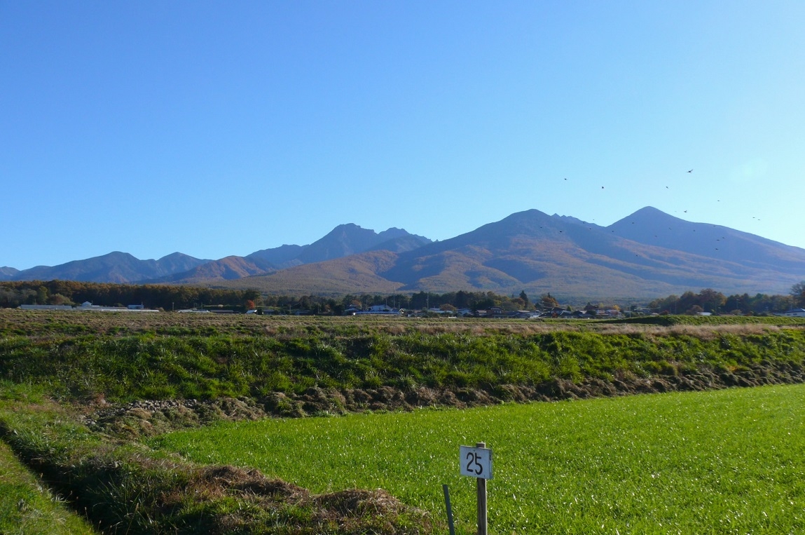 http://www.alpico.co.jp/shikinomori/news/images/P1370156.JPG