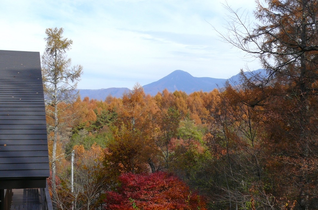 http://www.alpico.co.jp/shikinomori/news/images/P1370298.JPG