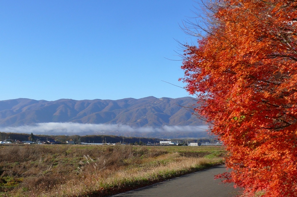 http://www.alpico.co.jp/shikinomori/news/images/P1370398.JPG