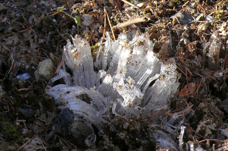 http://www.alpico.co.jp/shikinomori/news/images/P1380141.JPG