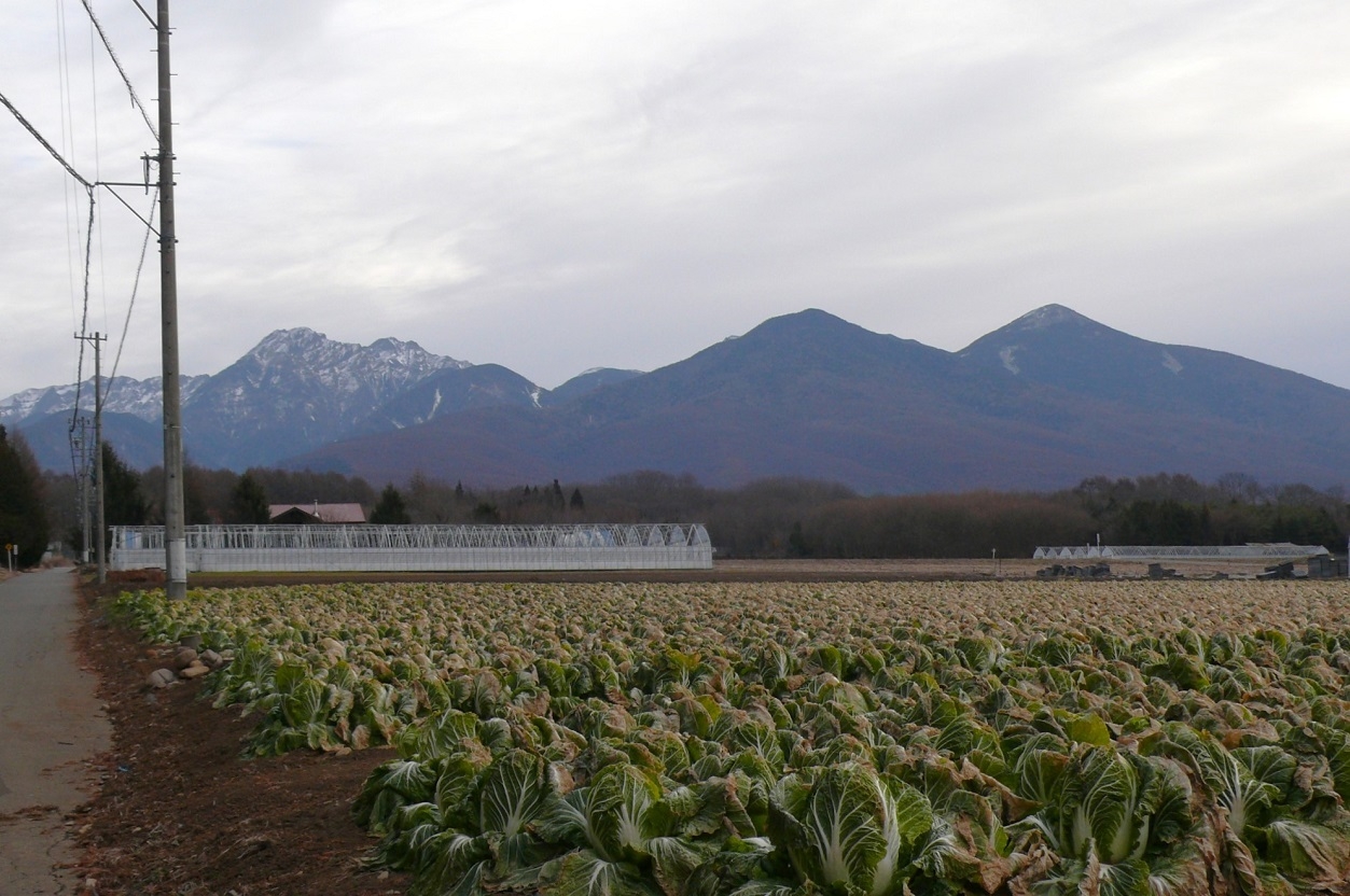 http://www.alpico.co.jp/shikinomori/news/images/P1380492.JPG