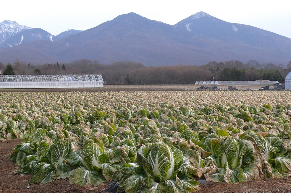 http://www.alpico.co.jp/shikinomori/news/images/P1380493.JPG