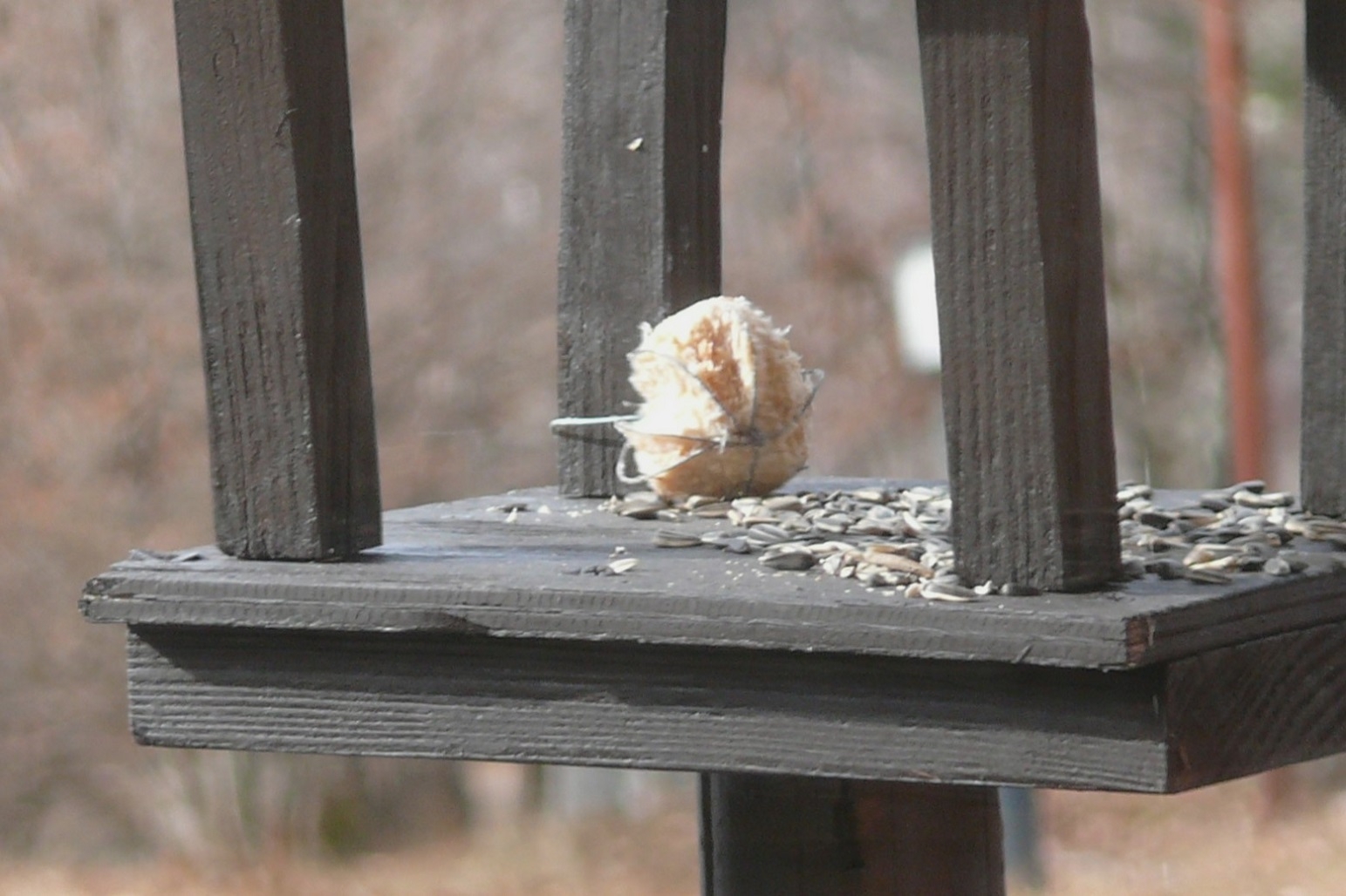 http://www.alpico.co.jp/shikinomori/news/images/P1380522.JPG