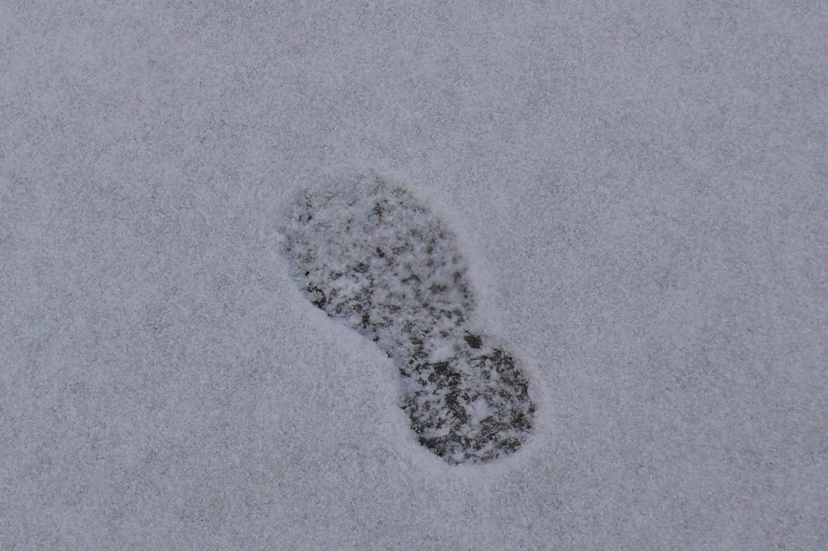 http://www.alpico.co.jp/shikinomori/news/images/P1390440.JPG