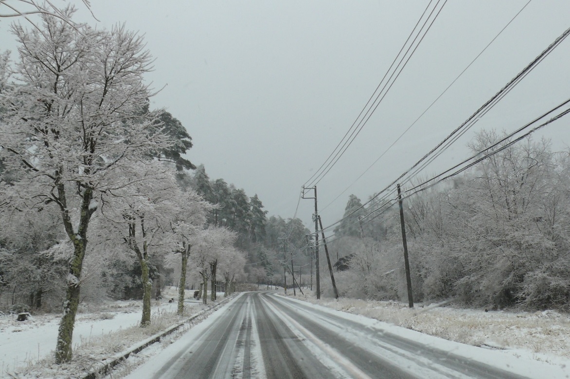 http://www.alpico.co.jp/shikinomori/news/images/P1390794.JPG