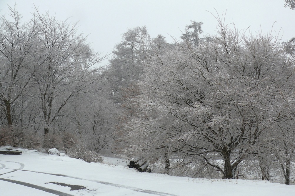 http://www.alpico.co.jp/shikinomori/news/images/P1390808.JPG