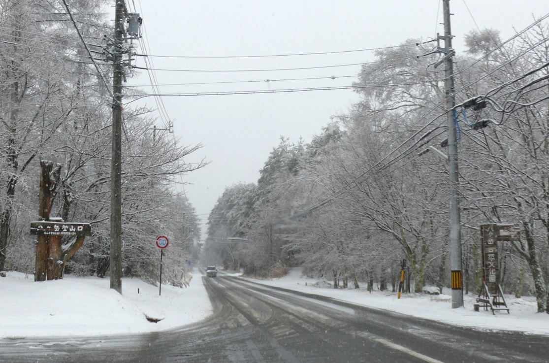 http://www.alpico.co.jp/shikinomori/news/images/P1390812.JPG