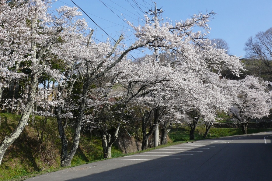 http://www.alpico.co.jp/shikinomori/news/images/P1400906.JPG