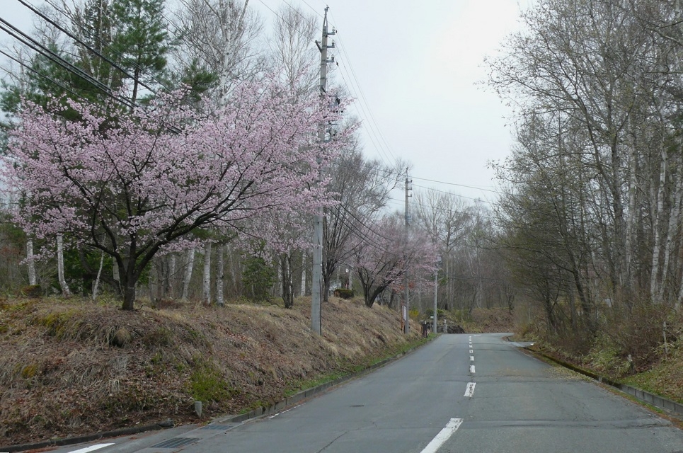 http://www.alpico.co.jp/shikinomori/news/images/P1410158.JPG