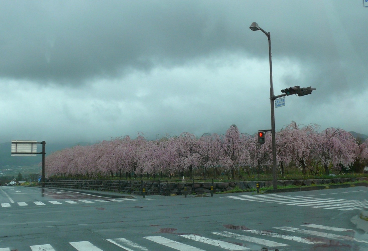 http://www.alpico.co.jp/shikinomori/news/images/P1410202.JPG