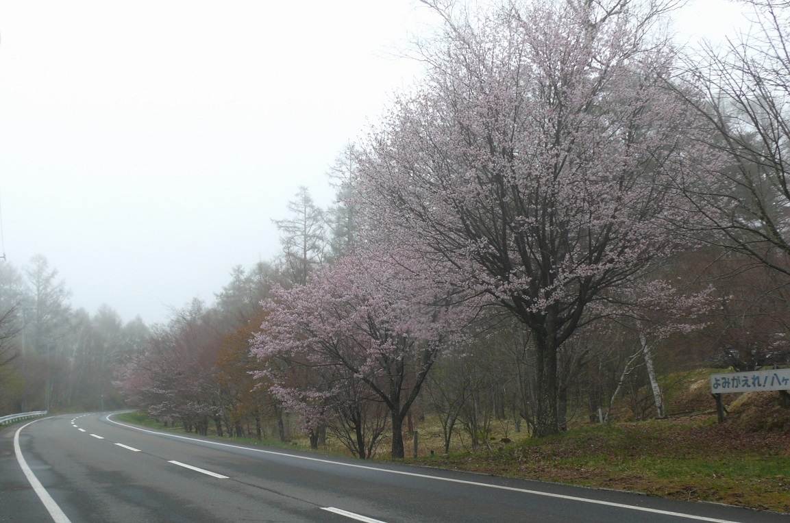 http://www.alpico.co.jp/shikinomori/news/images/P1410217.JPG