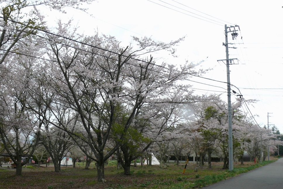 http://www.alpico.co.jp/shikinomori/news/images/P1410283.JPG