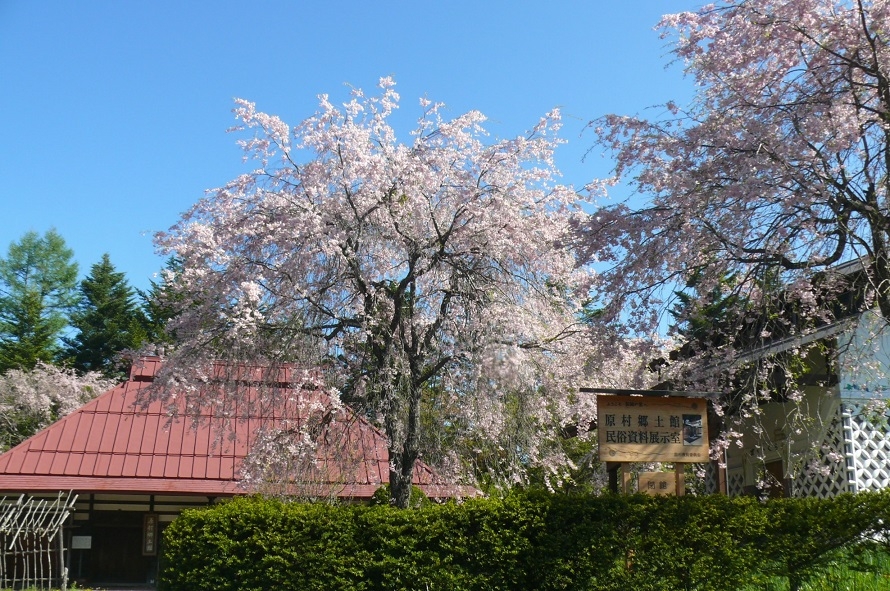 http://www.alpico.co.jp/shikinomori/news/images/P1410470.JPG