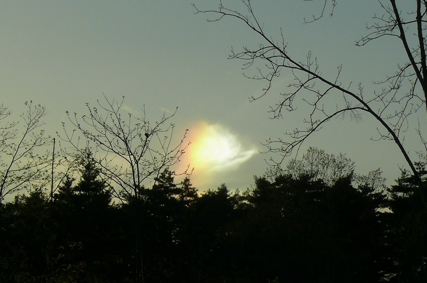http://www.alpico.co.jp/shikinomori/news/images/P1410672.JPG