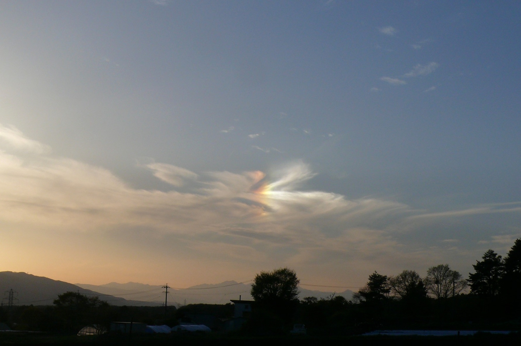 http://www.alpico.co.jp/shikinomori/news/images/P1410675.JPG