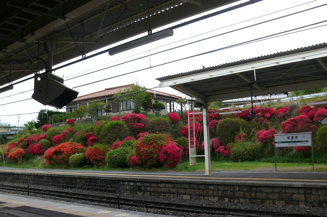 http://www.alpico.co.jp/shikinomori/news/images/P1410677.JPG