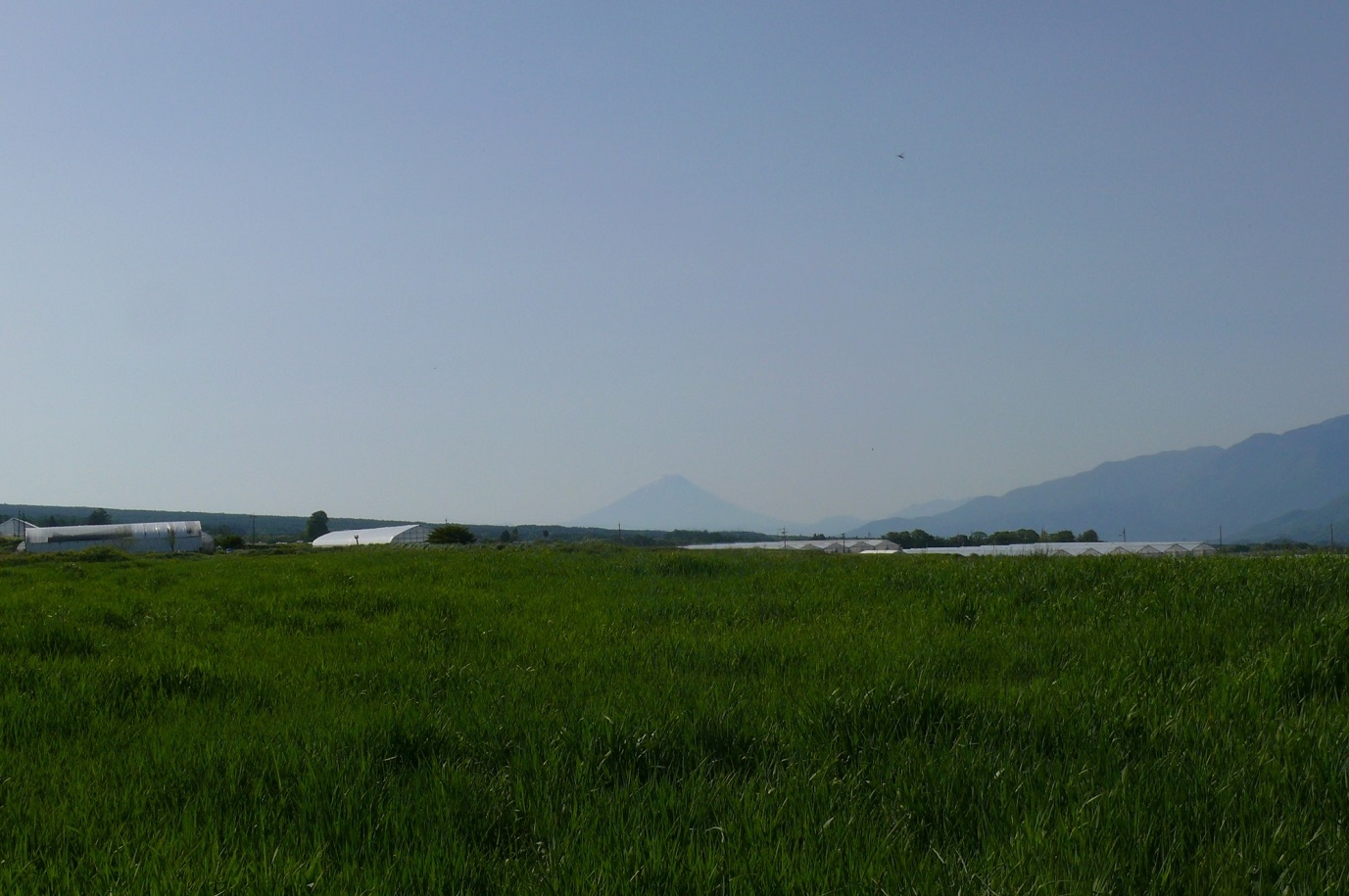 http://www.alpico.co.jp/shikinomori/news/images/P1420025.JPG