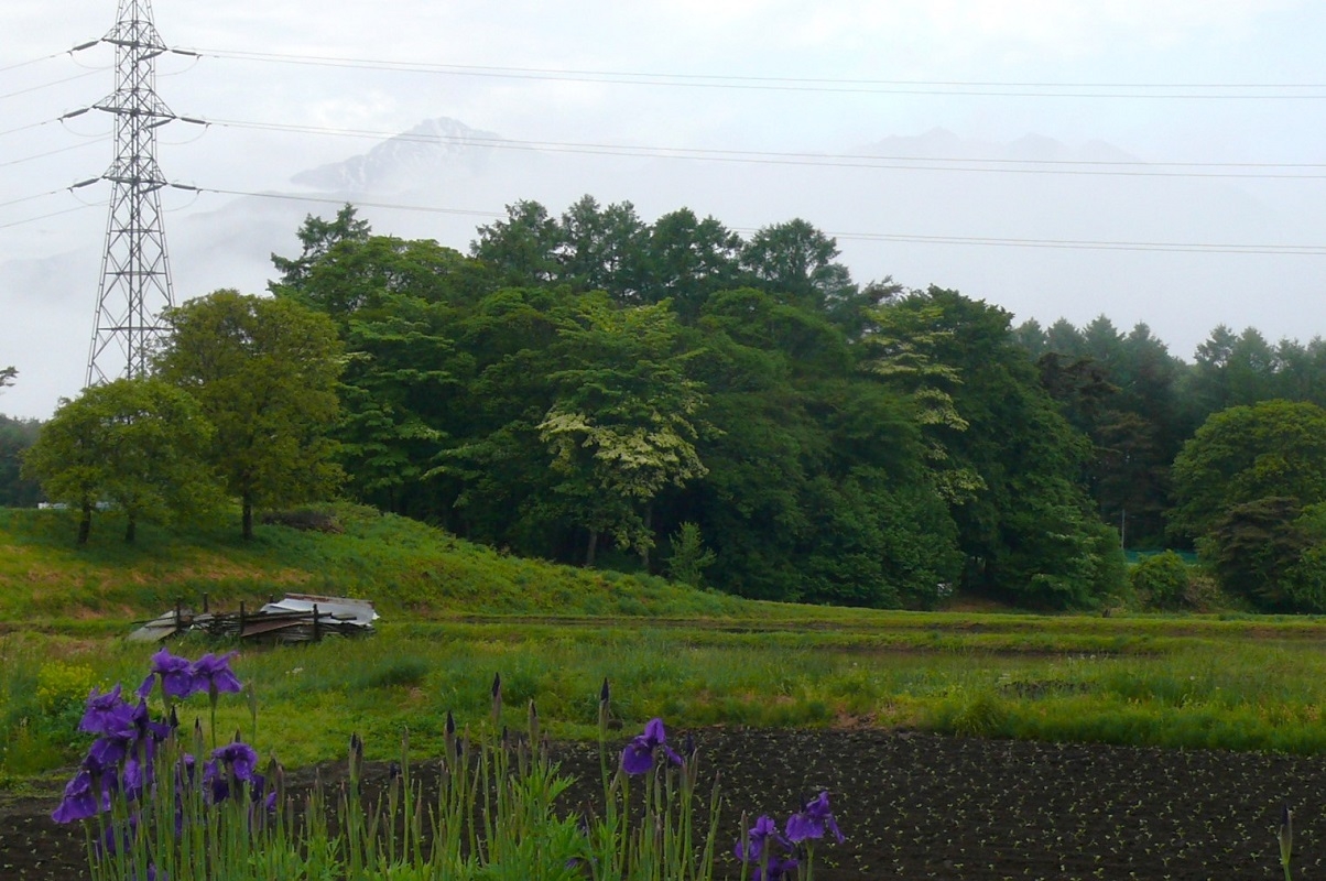 http://www.alpico.co.jp/shikinomori/news/images/P1420149.JPG