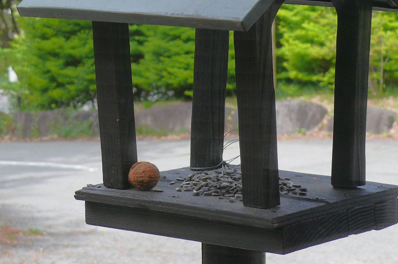 http://www.alpico.co.jp/shikinomori/news/images/P1420340.JPG