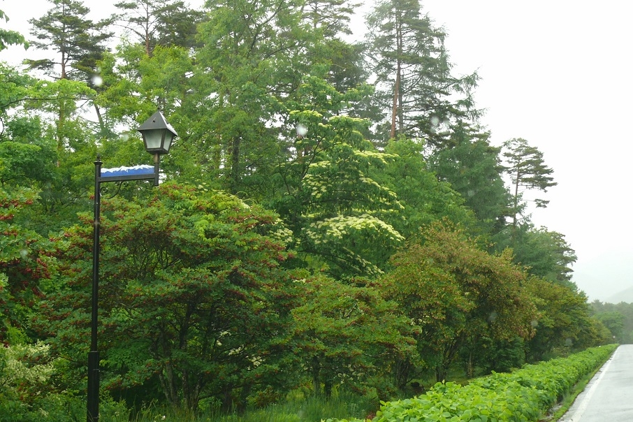 http://www.alpico.co.jp/shikinomori/news/images/P1420587.JPG