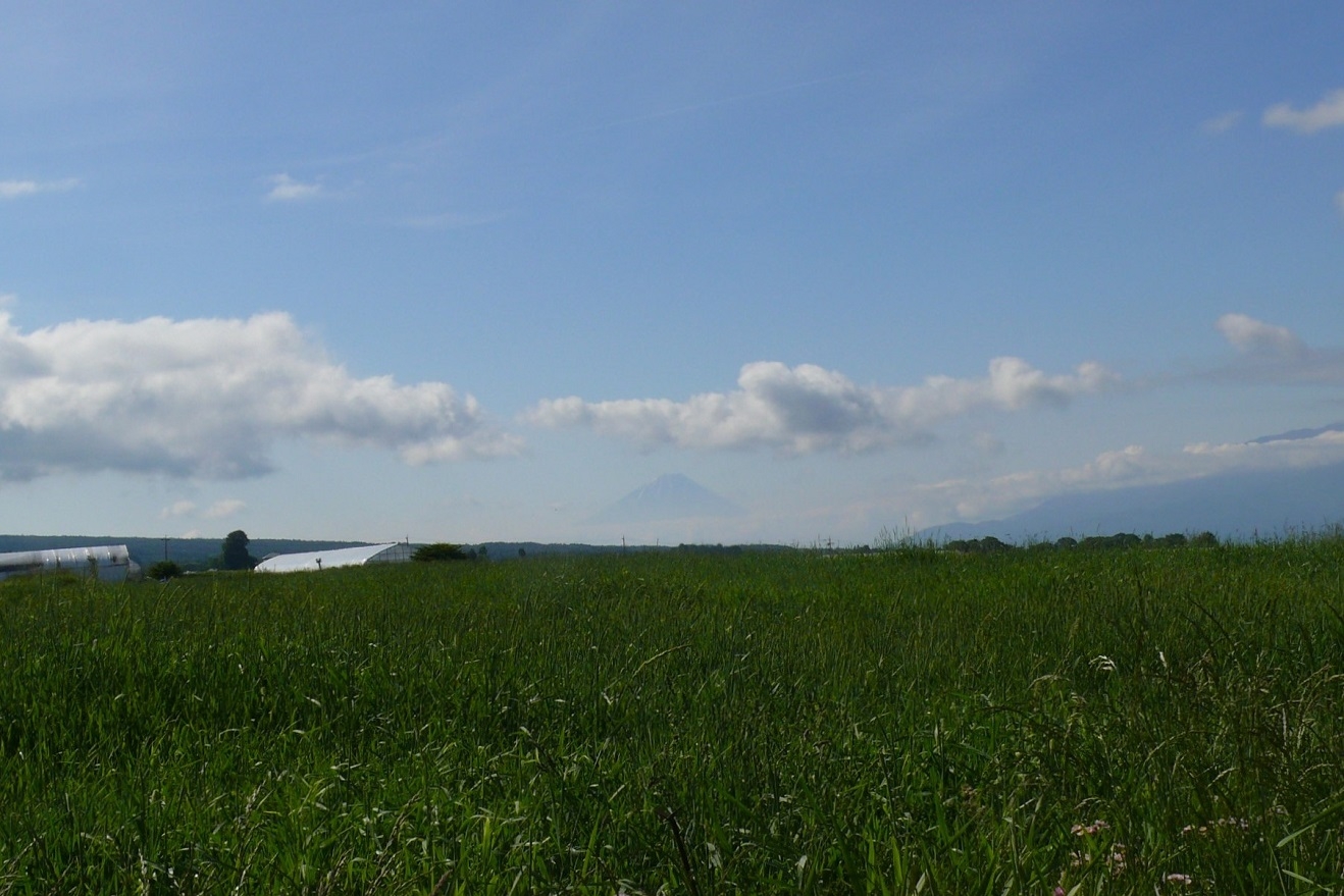 http://www.alpico.co.jp/shikinomori/news/images/P1420613.JPG