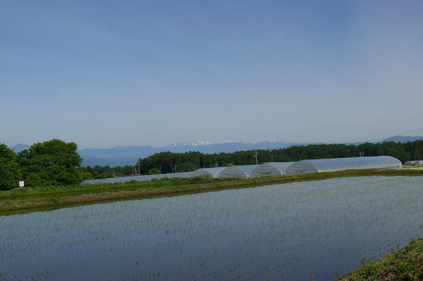 http://www.alpico.co.jp/shikinomori/news/images/P1420614.JPG
