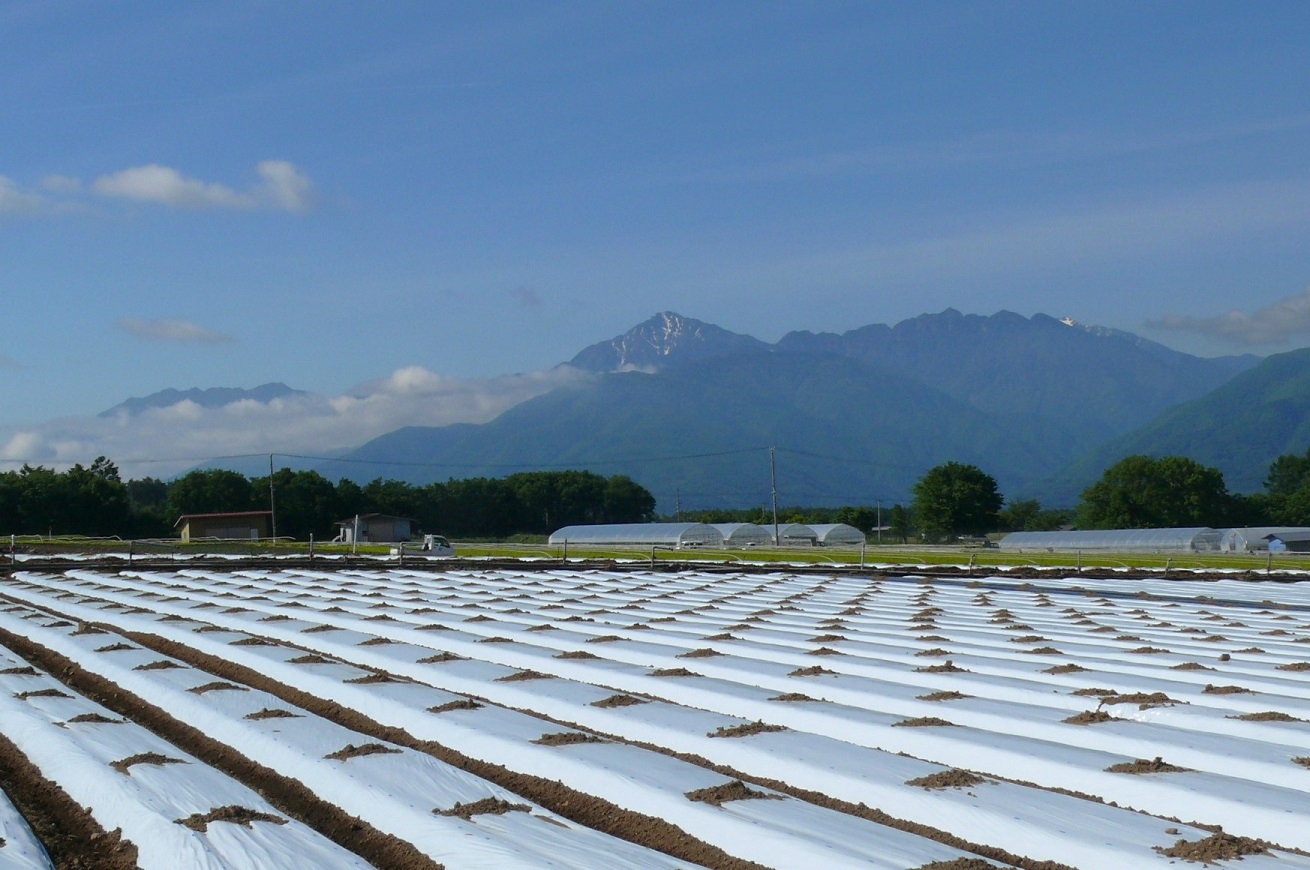 http://www.alpico.co.jp/shikinomori/news/images/P1420619.JPG