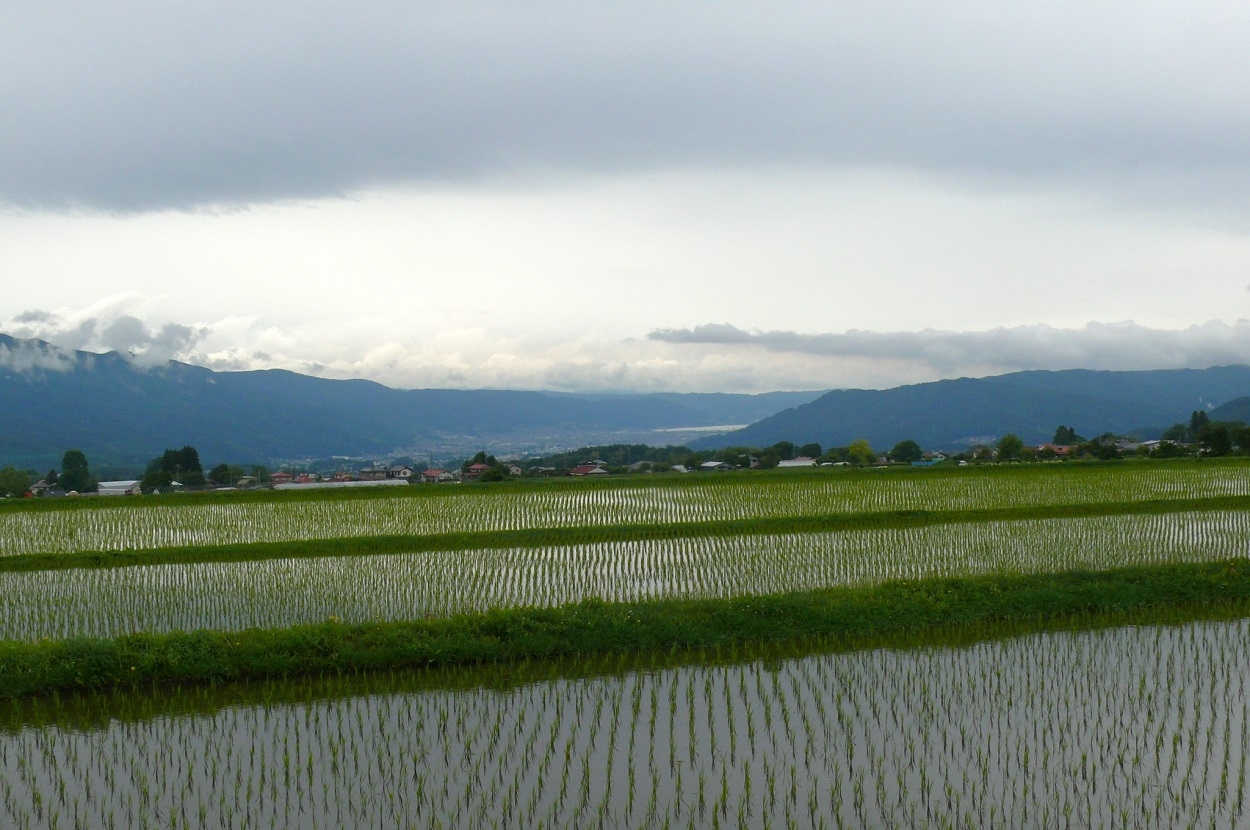 http://www.alpico.co.jp/shikinomori/news/images/P1420698.JPG
